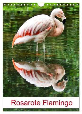 Rosarote Flamingo (Wandkalender 2026 DIN A4 hoch), CALVENDO Monatskalender