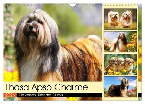 Lhasa Apso Charme. Die kleinen Hüter des Glücks (Wandkalender 2026 DIN A3 quer), CALVENDO Monatskalender