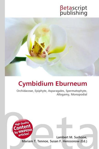 Cymbidium Eburneum