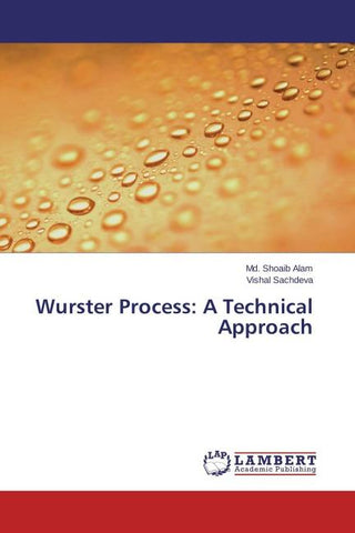 Wurster Process: A Technical Approach