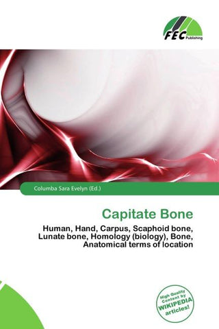 Capitate Bone