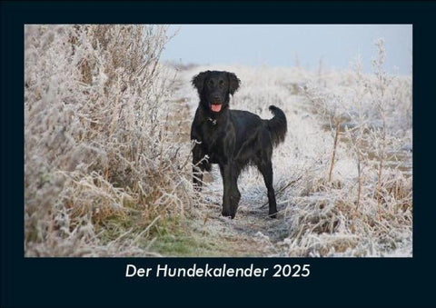 Der Hundekalender 2025 Fotokalender DIN A5