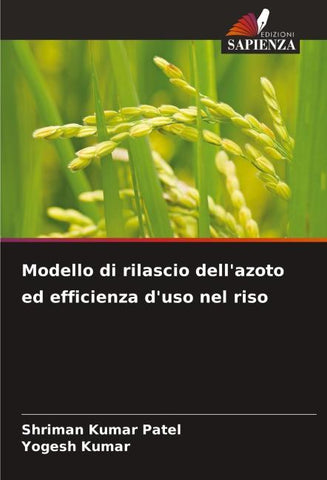 Modello di rilascio dell'azoto ed efficienza d'uso nel riso