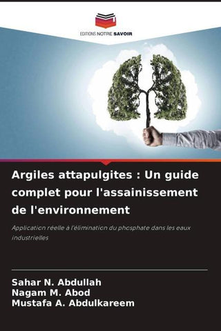 Argiles attapulgites : Un guide complet pour l'assainissement de l'environnement
