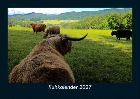 Kuhkalender 2027 Fotokalender DIN A5