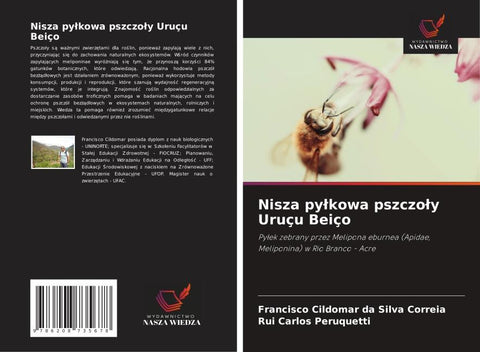 Nisza py¿kowa pszczo¿y Uruçu Beiço