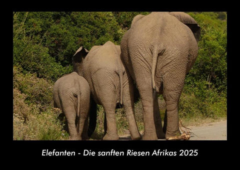 Elefanten - Die sanften Riesen Afrikas 2025 Fotokalender DIN A3