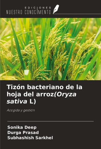 Tizón bacteriano de la hoja del arroz(Oryza sativa L)