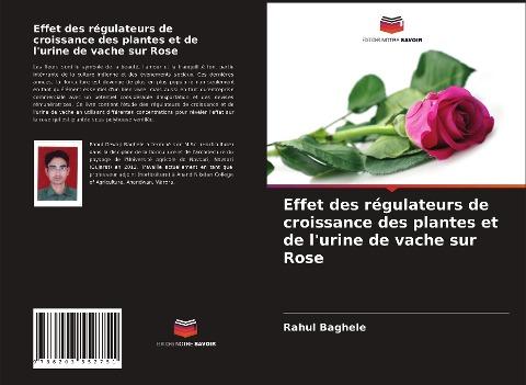 Effet des régulateurs de croissance des plantes et de l'urine de vache sur Rose
