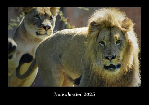 Tierkalender 2025 Fotokalender DIN A3