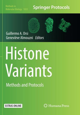 Histone Variants