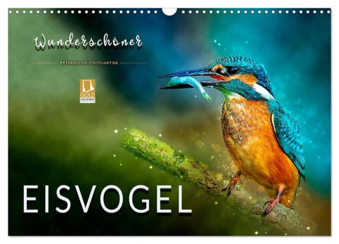 Wunderschöner Eisvogel (Wandkalender 2026 DIN A3 quer), CALVENDO Monatskalender