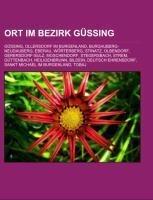 Ort im Bezirk Güssing