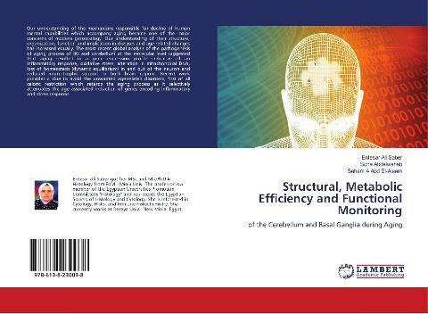 Structural, Metabolic Efficiency and Functional Monitoring