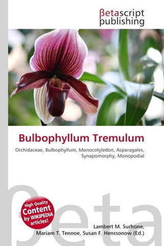 Bulbophyllum Tremulum