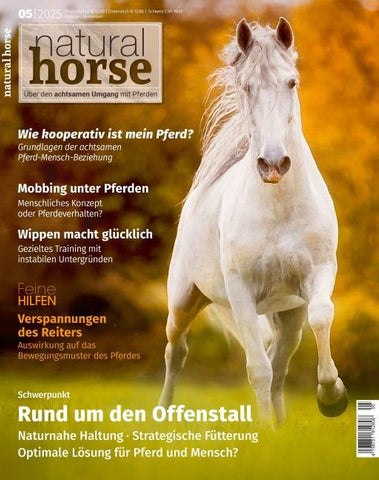 Natural Horse 59