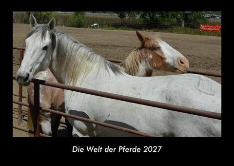 Die Welt der Pferde 2027 Fotokalender DIN A3