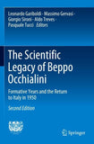 The Scientific Legacy of Beppo Occhialini