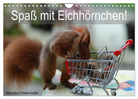 Spaß mit Eichhörnchen! (Wandkalender 2026 DIN A4 quer), CALVENDO Monatskalender