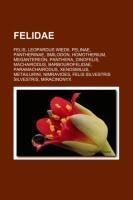 Felidae