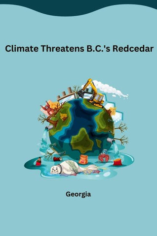 Climate Threatens B.C.'s Redcedar