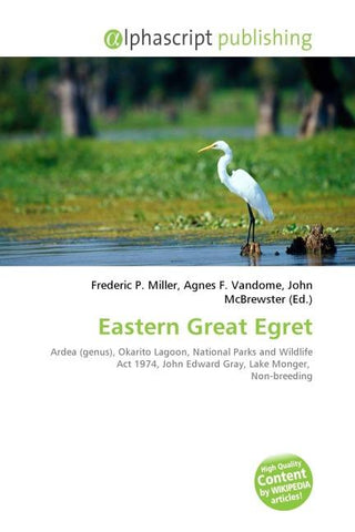 Eastern Great Egret