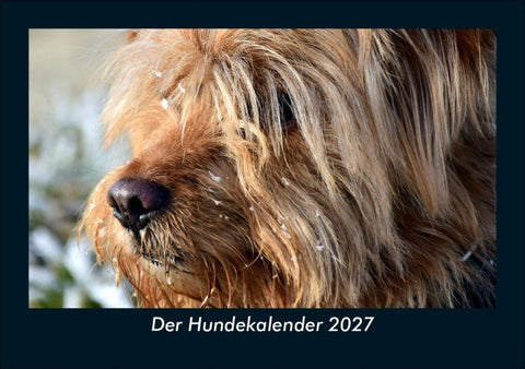 Der Hundekalender 2027 Fotokalender DIN A5