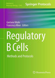 Regulatory B Cells