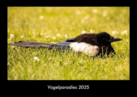 Vogelparadies 2025 Fotokalender DIN A3