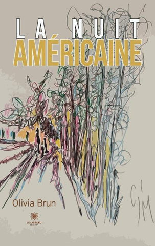La nuit américaine