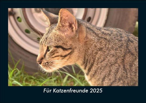 Für Katzenfreunde 2025 Fotokalender DIN A5