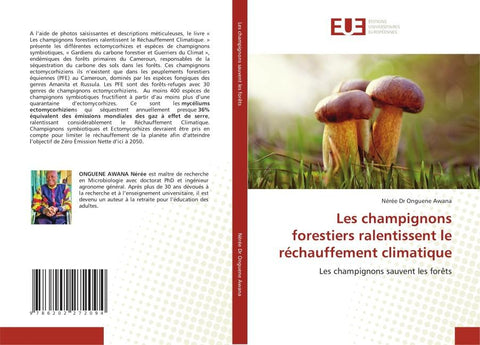 Les champignons forestiers ralentissent le réchauffement climatique