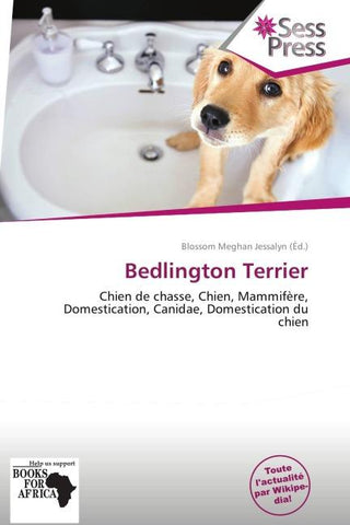 Bedlington Terrier