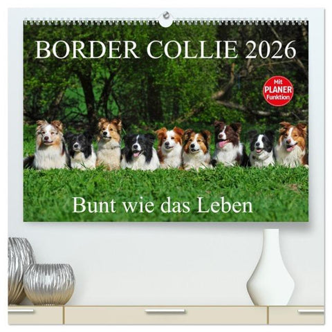 Border Collie 2026 (hochwertiger Premium Wandkalender 2026 DIN A2 quer), Kunstdruck in Hochglanz
