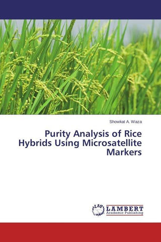 Purity Analysis of Rice Hybrids Using Microsatellite Markers