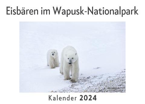 Eisbären im Wapusk-Nationalpark (Wandkalender 2024, Kalender DIN A4 quer, Monatskalender im Querformat mit Kalendarium, Das perfekte Geschenk)