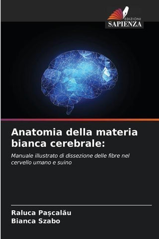Anatomia della materia bianca cerebrale: