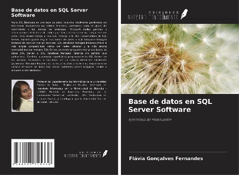 Base de datos en SQL Server Software