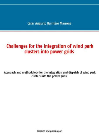 Challenges for the integration of wind park clusters into power grids