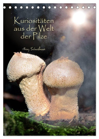 Kuriositäten aus der Welt der Pilze (Tischkalender 2027 DIN A5 hoch), CALVENDO Monatskalender