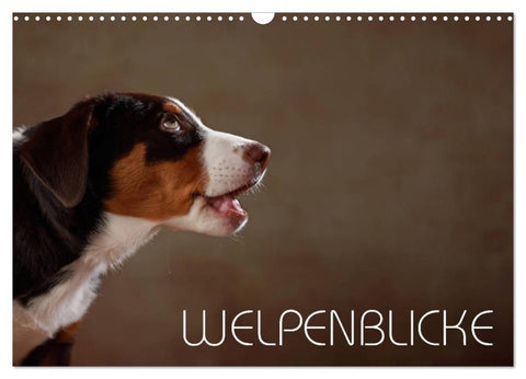 Welpenblicke (Wandkalender 2027 DIN A3 quer), CALVENDO Monatskalender