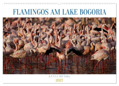 Flamingos am Lake Bogoria - Kenia (Wandkalender 2027 DIN A2 quer), CALVENDO Monatskalender