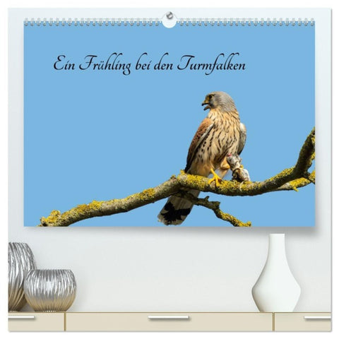 Ein Frühjahr bei den Turmfalken (hochwertiger Premium Wandkalender 2027 DIN A2 quer), Kunstdruck in Hochglanz
