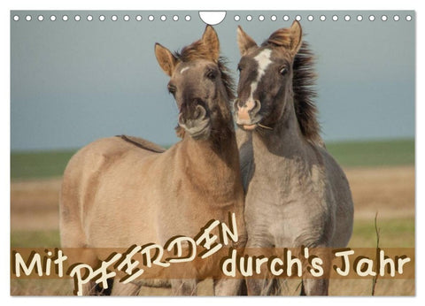 Mit Pferden durch´s Jahr (Wandkalender 2026 DIN A4 quer), CALVENDO Monatskalender