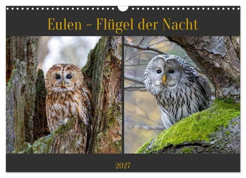 Eulen - Flügel der Nacht (Wandkalender 2027 DIN A3 quer), CALVENDO Monatskalender