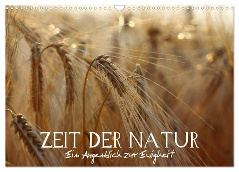 Zeit der Natur - Ein Augenblick zur Ewigkeit (Wandkalender 2026 DIN A3 quer), CALVENDO Monatskalender