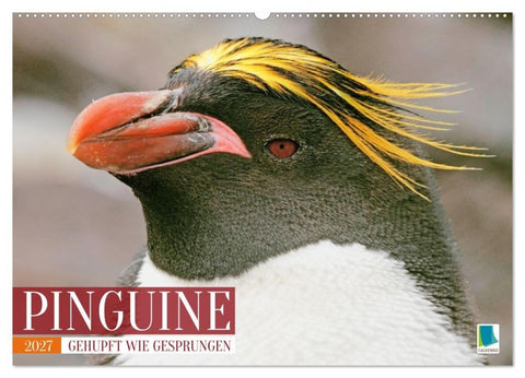 Pinguine: Gehupft wie gesprungen (Wandkalender 2027 DIN A2 quer), CALVENDO Monatskalender