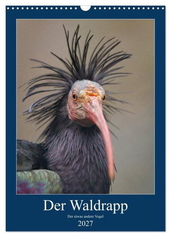 Der Waldrapp - Der etwas andere Vogel (Wandkalender 2027 DIN A3 hoch), CALVENDO Monatskalender