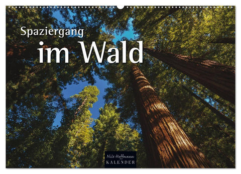 Spaziergang im Wald (Wandkalender 2027 DIN A2 quer), CALVENDO Monatskalender