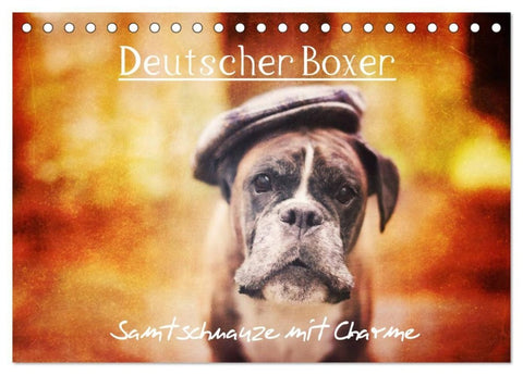 Deutscher Boxer (Tischkalender 2027 DIN A5 quer), CALVENDO Monatskalender